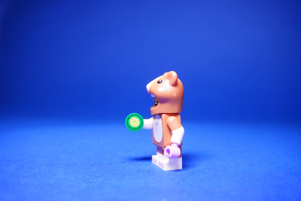 LEGO 71048 Collectable Minifigures Series 27 review 58 1024x683