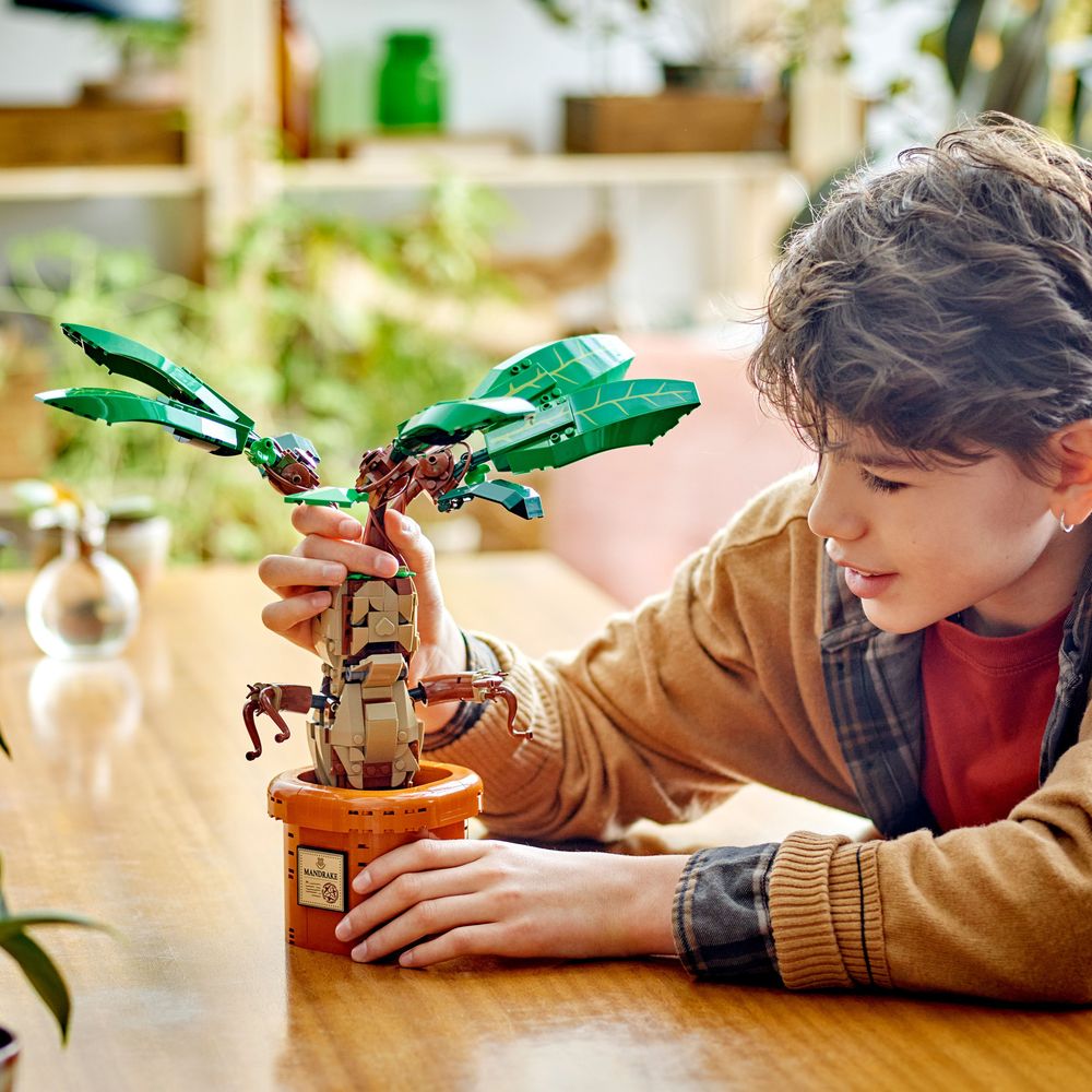 LEGO Harry Potter 76433 Mandrake 9