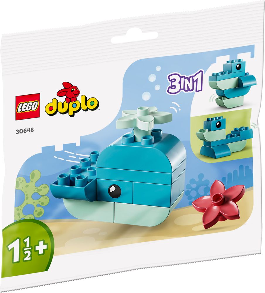 30648 Whale 2
