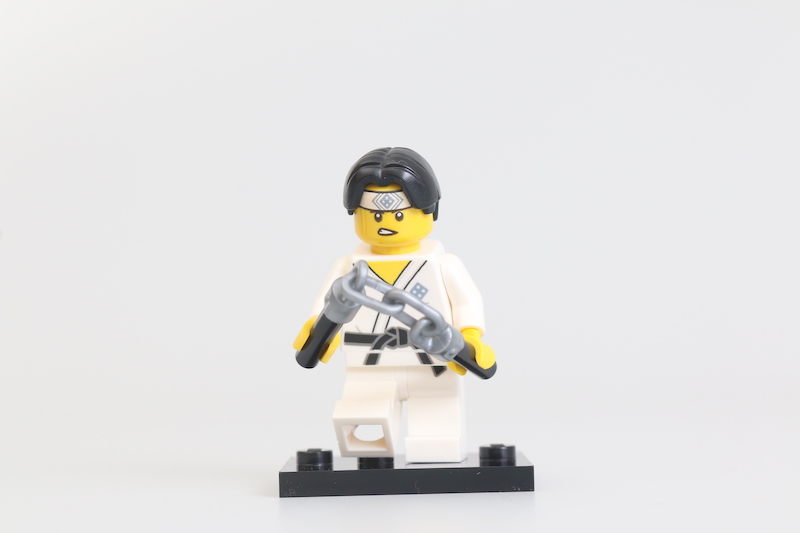 LEGO Collectible Minifigures Series 20 review 5