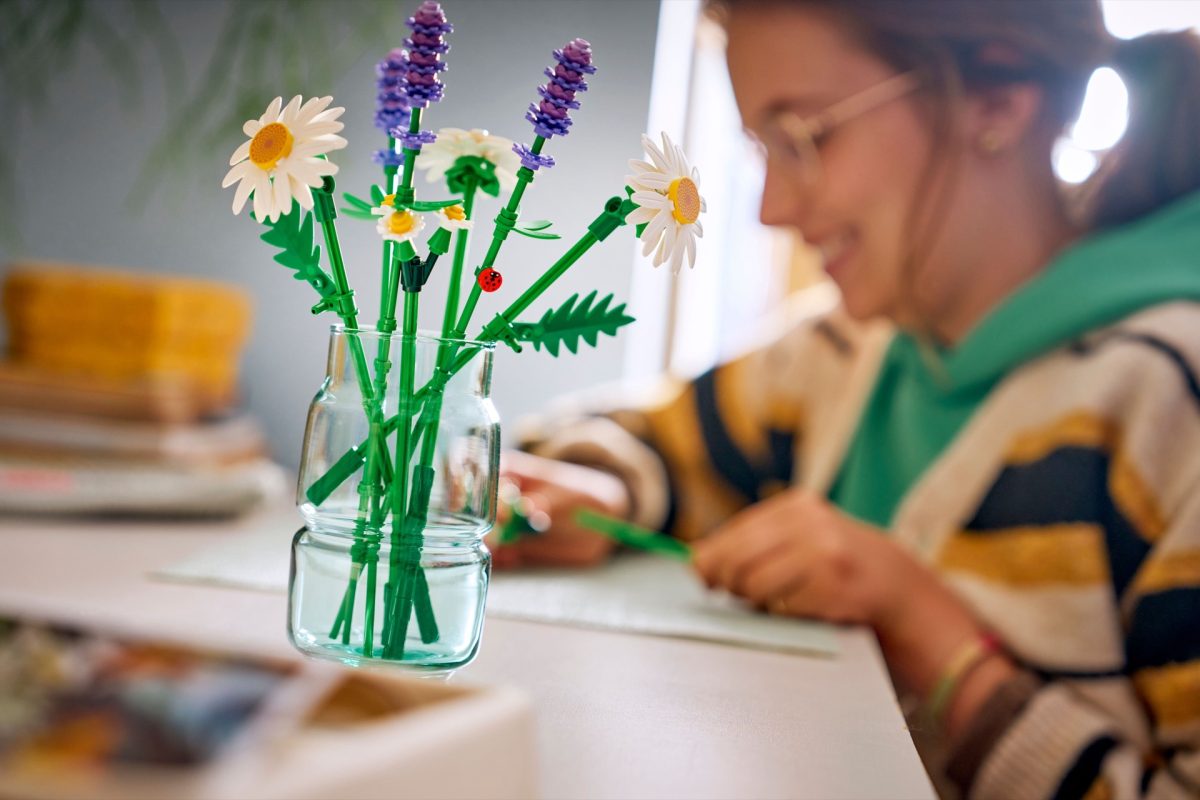 LEGO Botanicals 11508 Daisies 10 1200x800