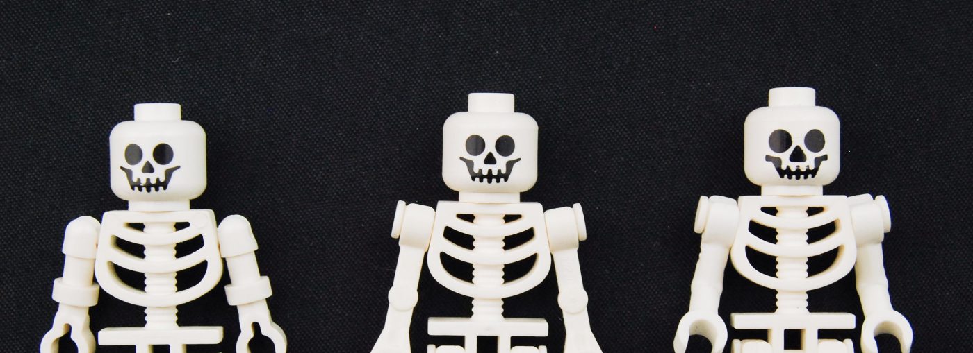 Origins: LEGO Skeletons