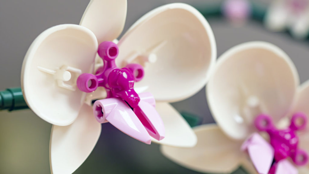 LEGO Botanical Collection 10311 Orchid 4 1024x576