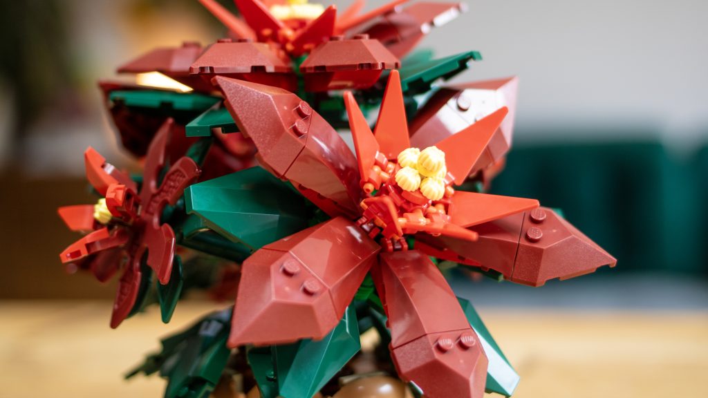 LEGO icons 10370 Poinsettia 12 1024x576