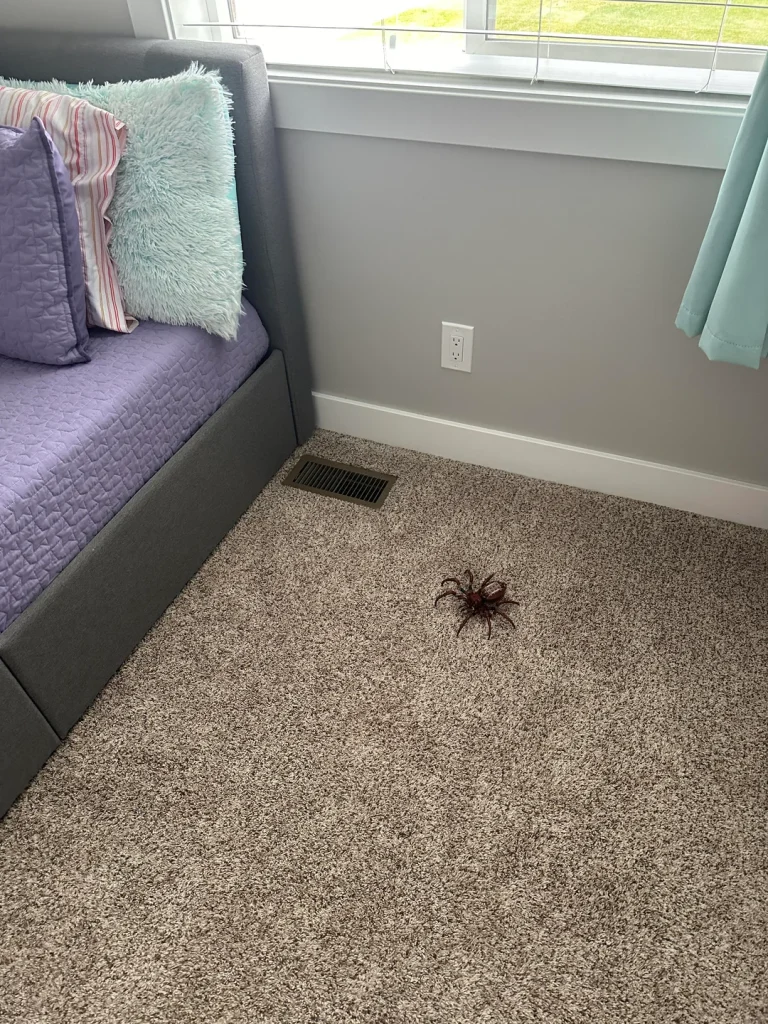 therealdickkickem LEGO Aragog prank 768x1024
