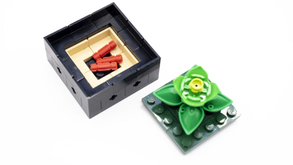 LEGO The Botanical Collection 10309 Succulents 23 1024x576