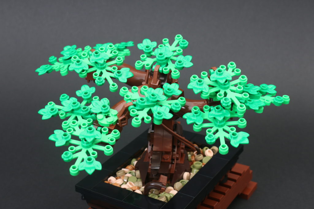 LEGO Botanical Collection 10281 Bonsai Tree review 28